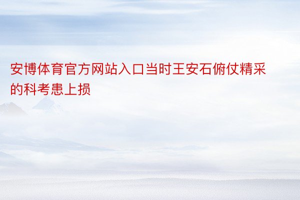 安博体育官方网站入口当时王安石俯仗精采的科考患上损