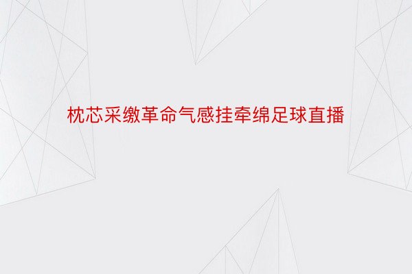 枕芯采缴革命气感挂牵绵足球直播