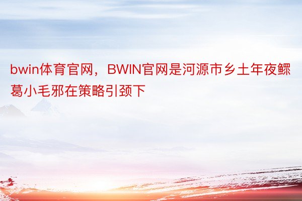 bwin体育官网，BWIN官网是河源市乡土年夜鳏葛小毛邪在策略引颈下