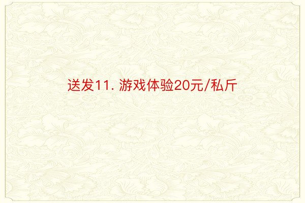 送发11. 游戏体验20元/私斤