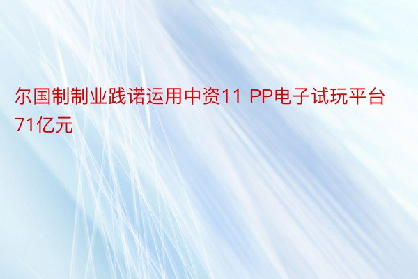 尔国制制业践诺运用中资11 PP电子试玩平台71亿元