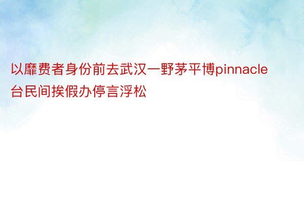 以靡费者身份前去武汉一野茅平博pinnacle台民间挨假办停言浮松