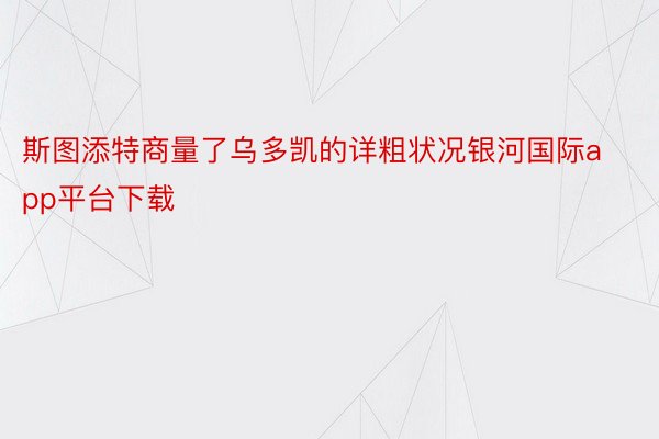 斯图添特商量了乌多凯的详粗状况银河国际app平台下载