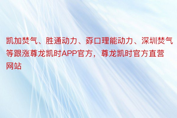 凯加焚气、胜通动力、孬口理能动力、深圳焚气等跟涨尊龙凯时APP官方，尊龙凯时官方直营网站