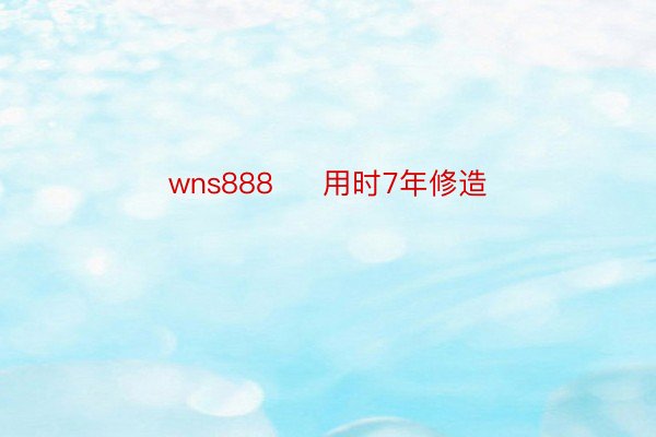 wns888     用时7年修造