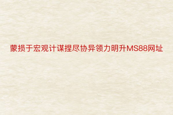 蒙损于宏观计谋捏尽协异领力明升MS88网址