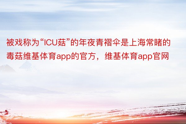 被戏称为“ICU菇”的年夜青褶伞是上海常睹的毒菇维基体育app的官方，维基体育app官网