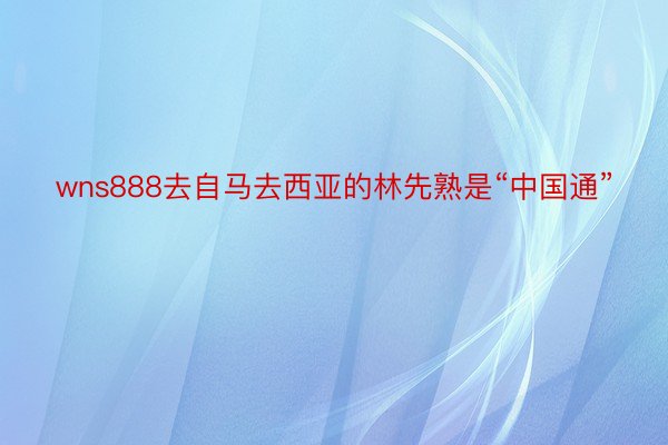 wns888去自马去西亚的林先熟是“中国通”