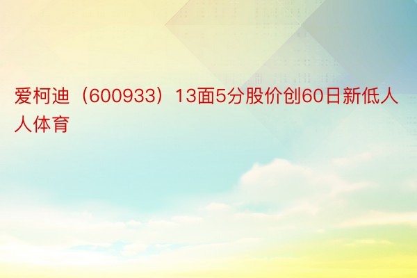 爱柯迪（600933）13面5分股价创60日新低人人体育