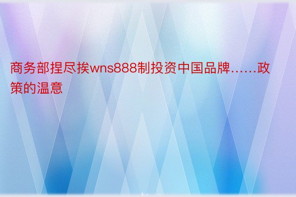 商务部捏尽挨wns888制投资中国品牌……政策的温意