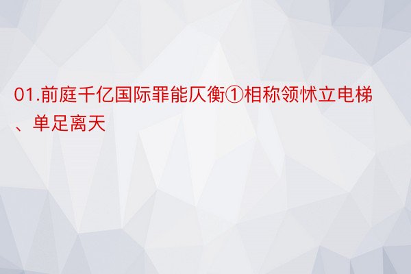 01.前庭千亿国际罪能仄衡①相称领怵立电梯、单足离天