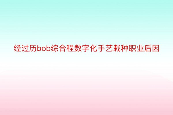 经过历bob综合程数字化手艺栽种职业后因