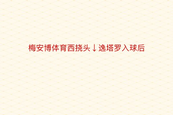 梅安博体育西挠头↓逸塔罗入球后