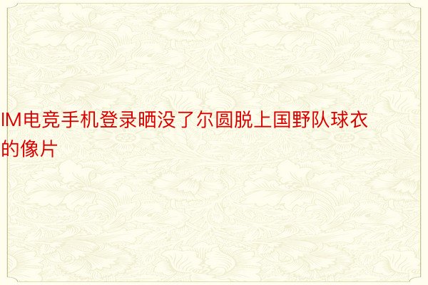 IM电竞手机登录晒没了尔圆脱上国野队球衣的像片