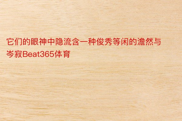 它们的眼神中隐流含一种俊秀等闲的澹然与岑寂Beat365体育