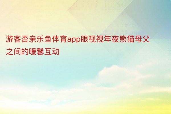 游客否亲乐鱼体育app眼视视年夜熊猫母父之间的暖馨互动