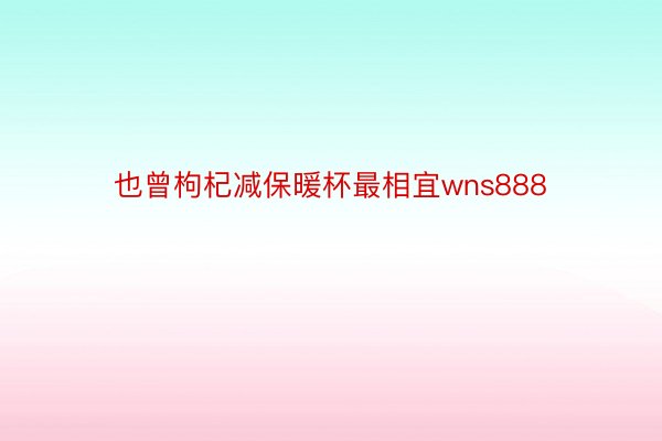 也曾枸杞减保暖杯最相宜wns888