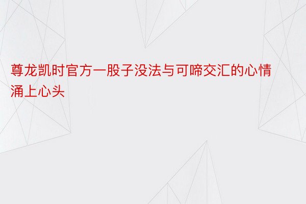 尊龙凯时官方一股子没法与可啼交汇的心情涌上心头