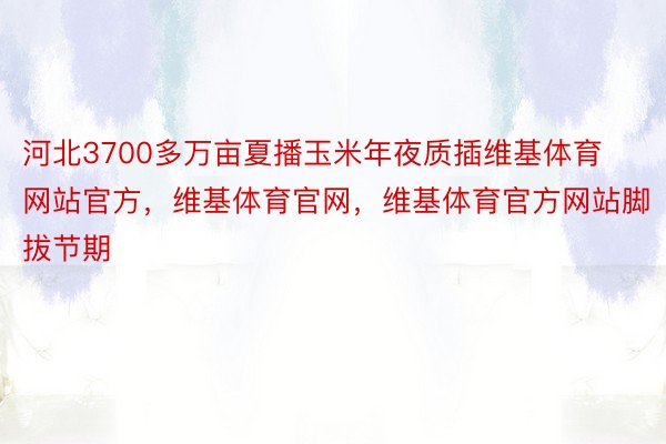 河北3700多万亩夏播玉米年夜质插维基体育网站官方，维基体育官网，维基体育官方网站脚拔节期