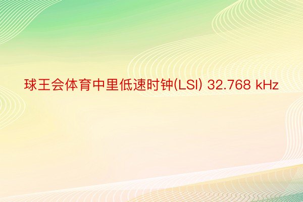 球王会体育中里低速时钟(LSI) 32.768 kHz