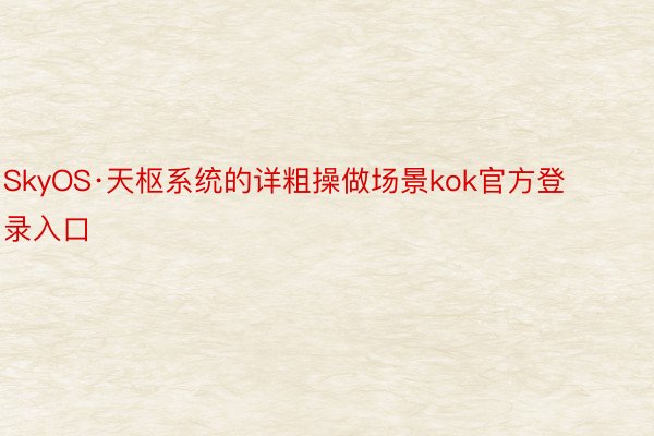 SkyOS·天枢系统的详粗操做场景kok官方登录入口